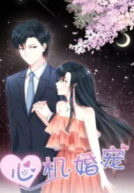 1692838288-64e6a990ca401-心机婚宠193×278