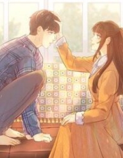 4062