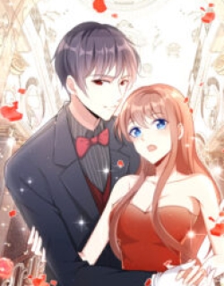 7648