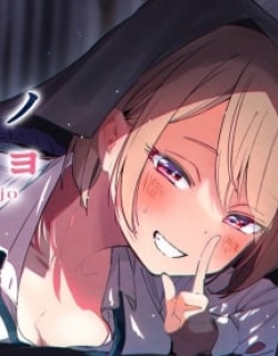 16056