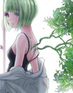 16042