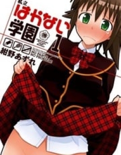 17258