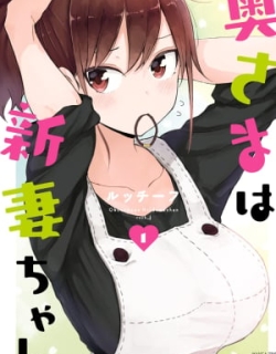 17529