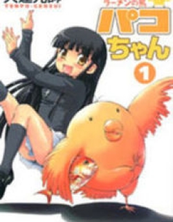 20033