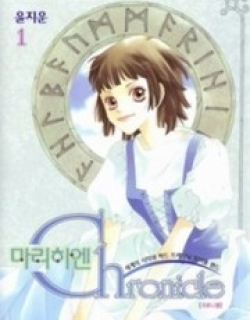 20481