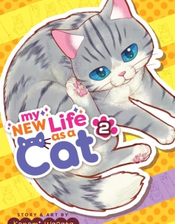 15243