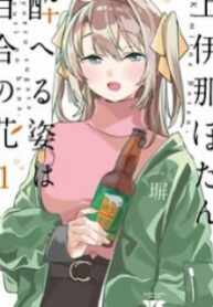 23217