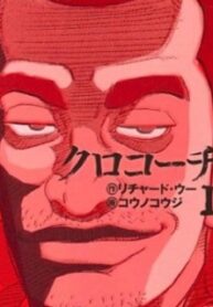 23255