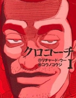 23255
