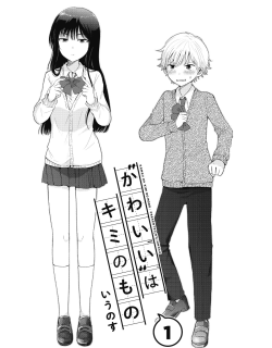 24116