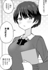 24106