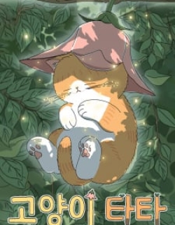 24214