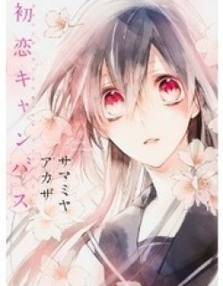 24334