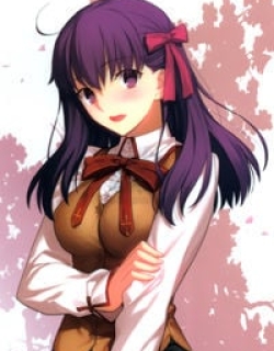 25066