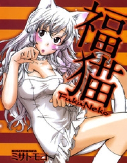 26069