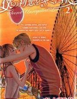 26147