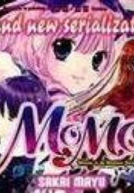 26193