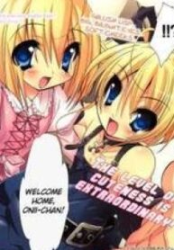26291