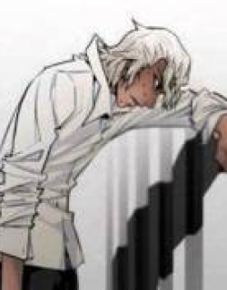 26255
