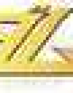 26651