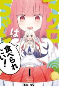 27411