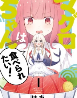 27411