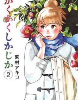 27517