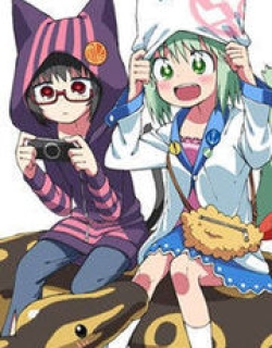 27619