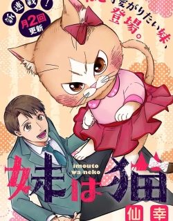 28803