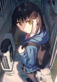 29055