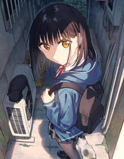 29055