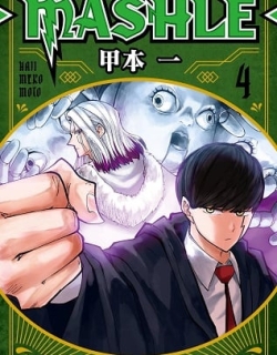 29523