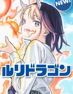 33262