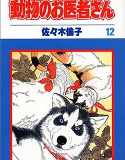 33336