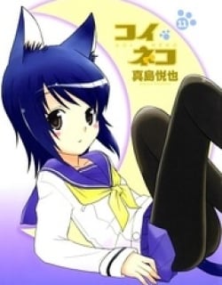 33530
