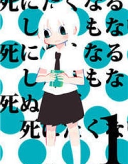 33802