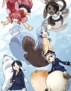34704