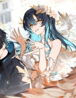 35116