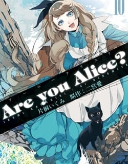 35242