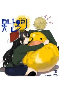 36197