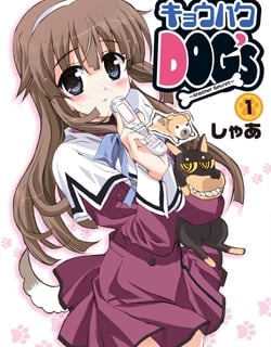 36725