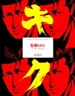 37628