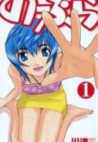37876