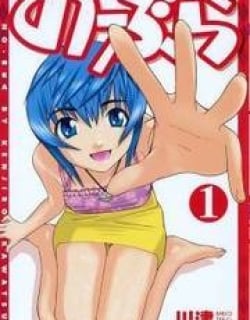 37876