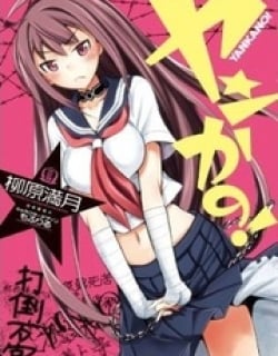 38036