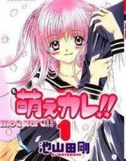 38256