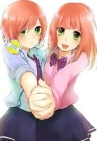 38536