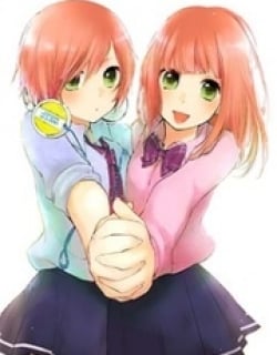 38536