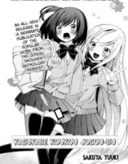38638