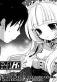 40066